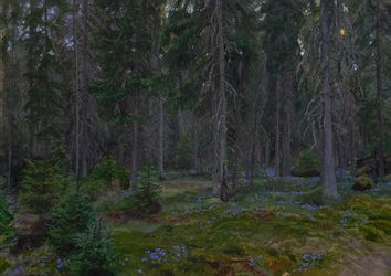 Аметистовая россыпь