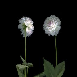 Я с тобой разговариваю. Диалог 5