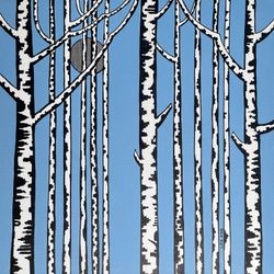 Городские берёзы