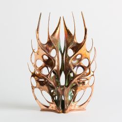 Liminal Biom_8