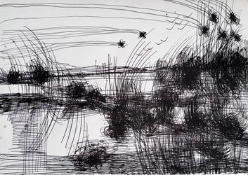 Абсолютное поле 9