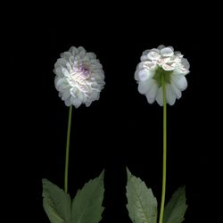 Я с тобой разговариваю. Диалог 2