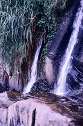Source