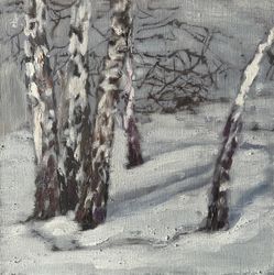 Берёзы