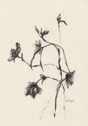 Fleur 07