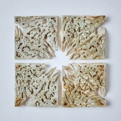 Anthill cut 02