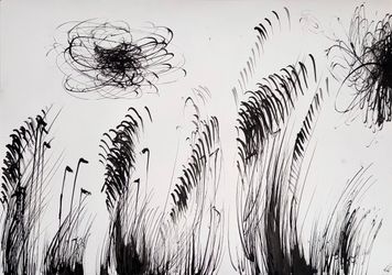 Абсолютное поле 3