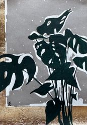 Монстера зимой