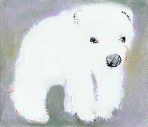 ― А акула меня не съест?