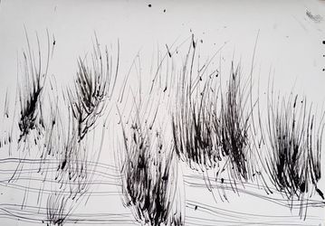 Абсолютное поле 1