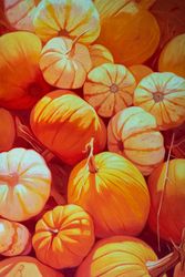 Осенние тыквы (Autumn pumpkins)