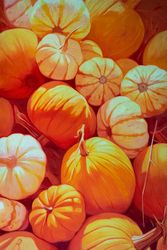 Осенние тыквы (Autumn pumpkins)