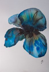 Прозрачность