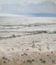 Чайки. Куршская коса