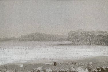 Туманное поле