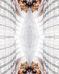 OSMETRY Tokyo II