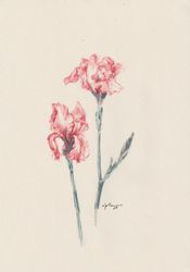 Fleur 05