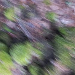 "ПРОСТРАНСТВО ТИШИНЫ" из проекта "Исчезнуть, замолчать, услышать"