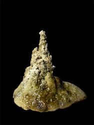 Объект №3 из серии "Песочные замки"