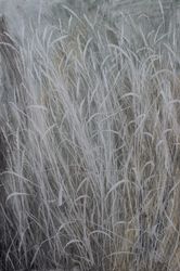 Шелест травы