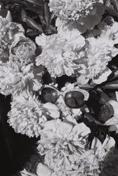 Жанна Татарова На память V. 30х45