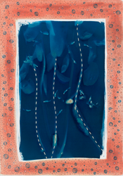 Синие тюльпаны №1