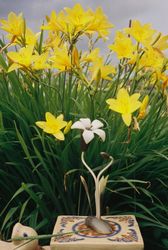 Жанна Татарова На память I. 30х45