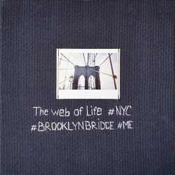 Искусство момента.  The web of life. NYC