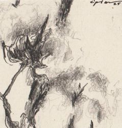 miniature 02
