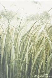 Миниатюра 71