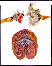 Iris Apfel DIY Set/ Étude А