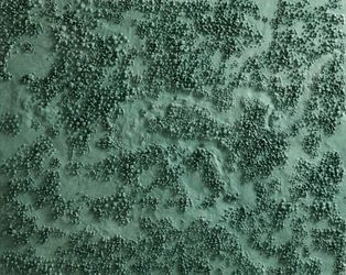 Точка зрения (зеленая)