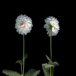 Я с тобой разговариваю. Диалог 4