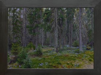 Аметистовая россыпь