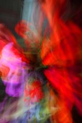 Из серии "Исчезнуть, замолчать, услышать"