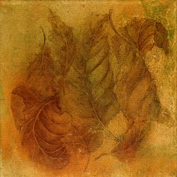 Закон притяжения (1)