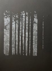 Dark Forest 2