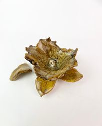 Объект 6 из серии "Anthesis"