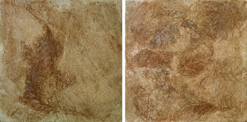 Неслучайность