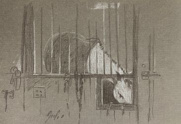 Белая лошадь