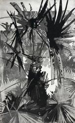 Palm (I)