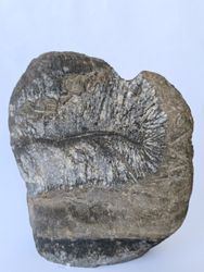 Ваза "Шепот Первых"