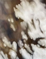 Осенний беспорядок