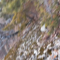 "ПРОСТРАНСТВО ТИШИНЫ" из проекта "Исчезнуть, замолчать, услышать"