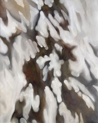 Последние лучи заката