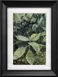 Росток в лесу