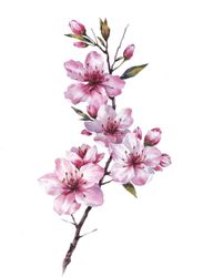 Весеннее цветение