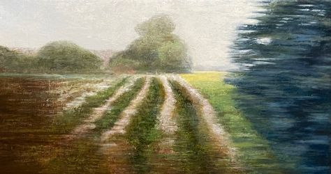 Пейзаж с полем