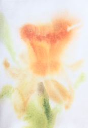 Движение (3.3)