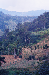 Valley